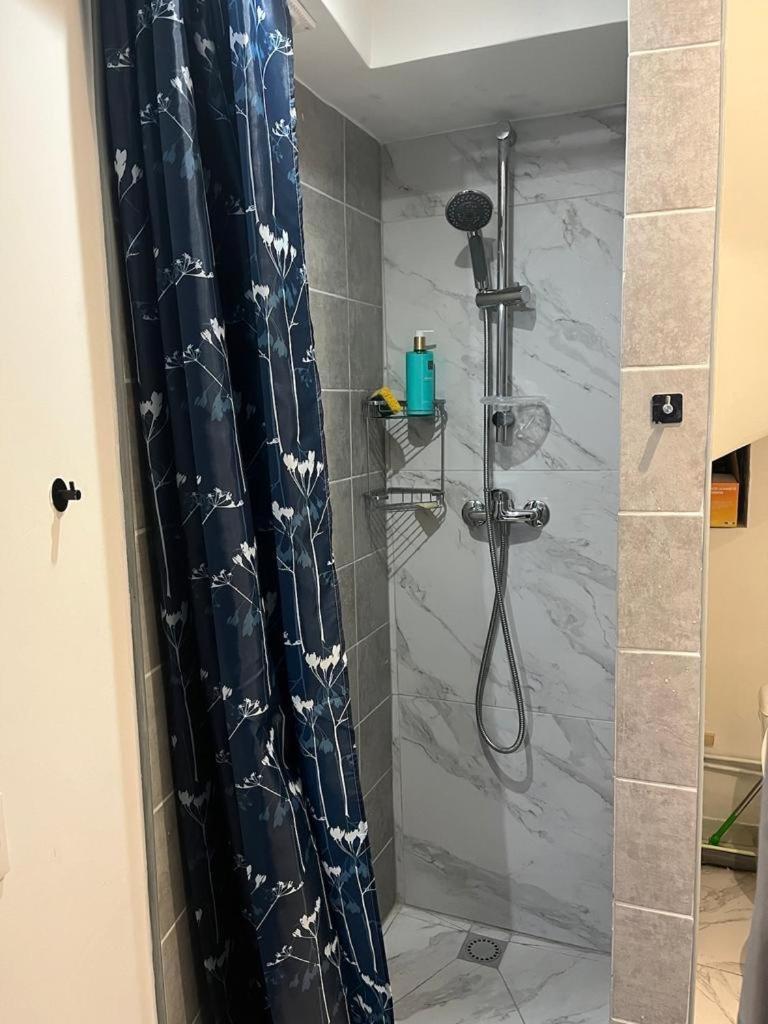 Charmant Studio Dans Maison Apartment ซาร์คเซลส์ ภายนอก รูปภาพ